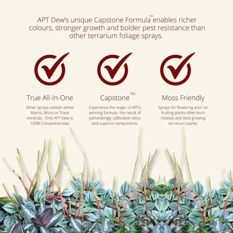 APT Dew, foliar mist, foliar fertilizer, terrarium plant spray, paludarium nutrient mist, nano mist plant fertilizer, wabi-kusa foliar feed, aquarium plant spray, potassium magnesium nitrate phosphate, foliage feeding aquatic, plant health foliar spray, 2Hr Aquarist Dew, safe for shrimp terrarium mist